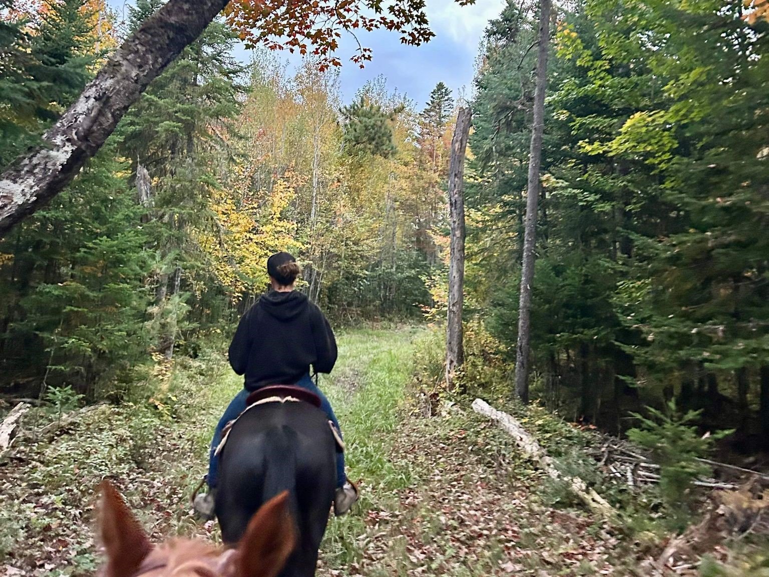 selfies on horseback
